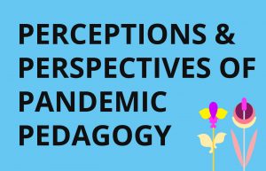 Read more about the article Seminar on Pandemic Pedagogy