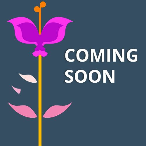 Coming-Soon-P Coming-Soon-P