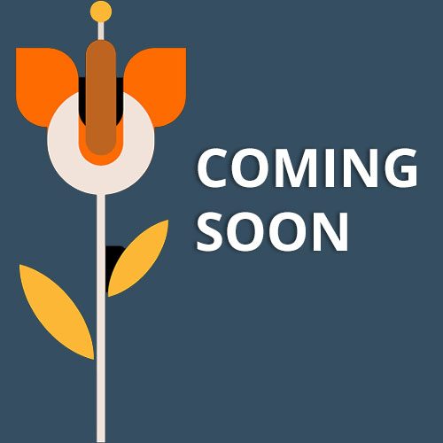 Coming-Soon-R Coming-Soon-R