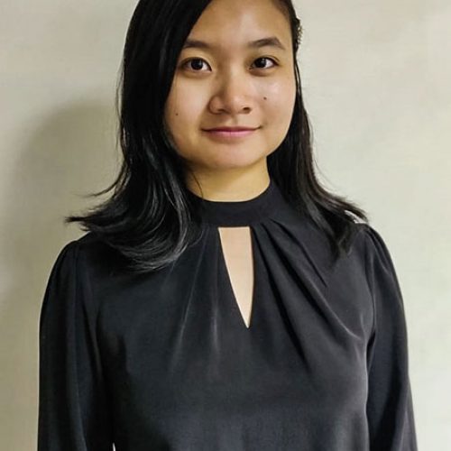 Varissa_ICE_image